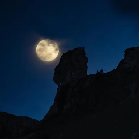 Ruggieri Luxury - Don Pietro *